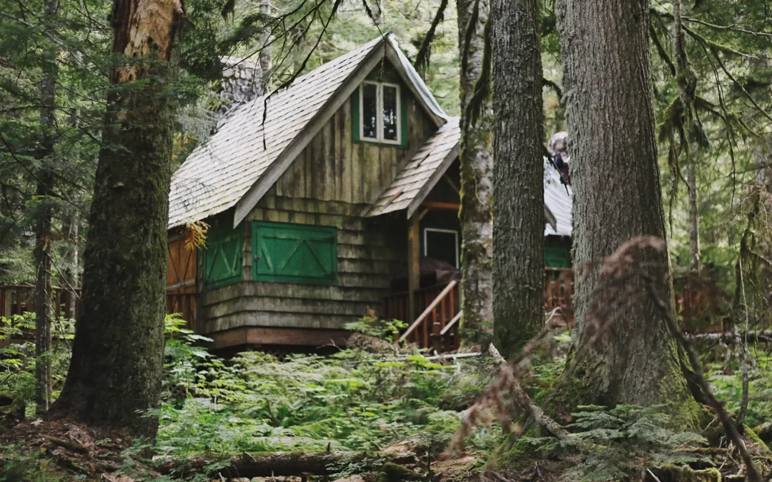 Living Off The Grid With Eco-Friendly Strategies