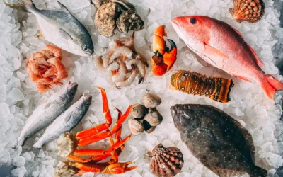 Growing Trends In Seafood Sustainability