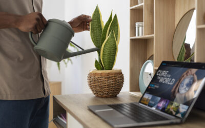 Tech That Lasts: Why Choosing the Right Laptop Can Help Save the Planet